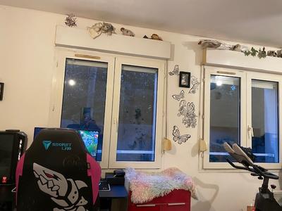 Studio - 26 m² - 1 pièce