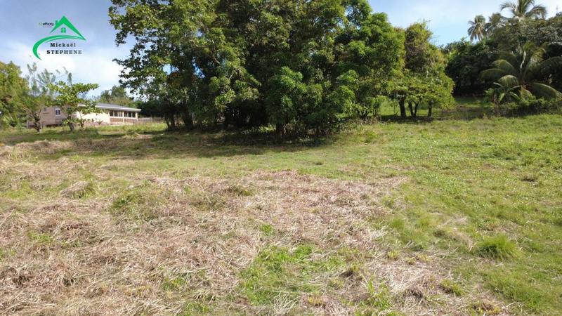 Terrain constructible - 1 241 m²