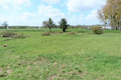 Terrain - 964 m²