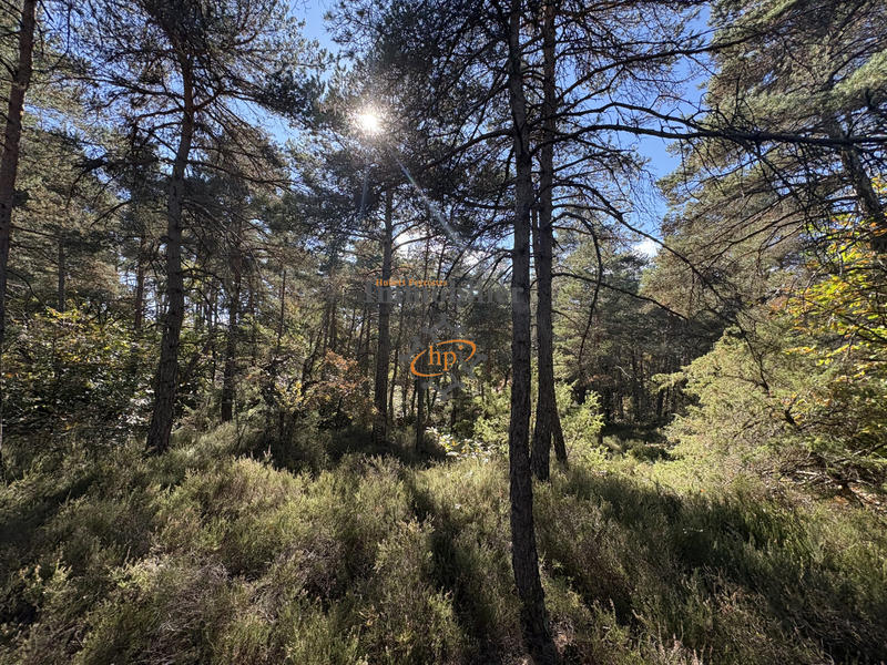 Maison - 284 m² - 7 pièces