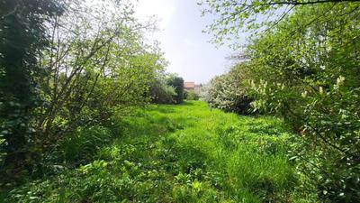 Maison - 162 m² - 5 pièces