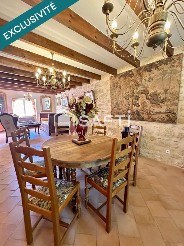 Maison - 385 m² - 10 pièces