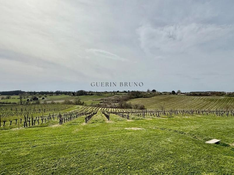 Maison - 133 m² - 6 pièces