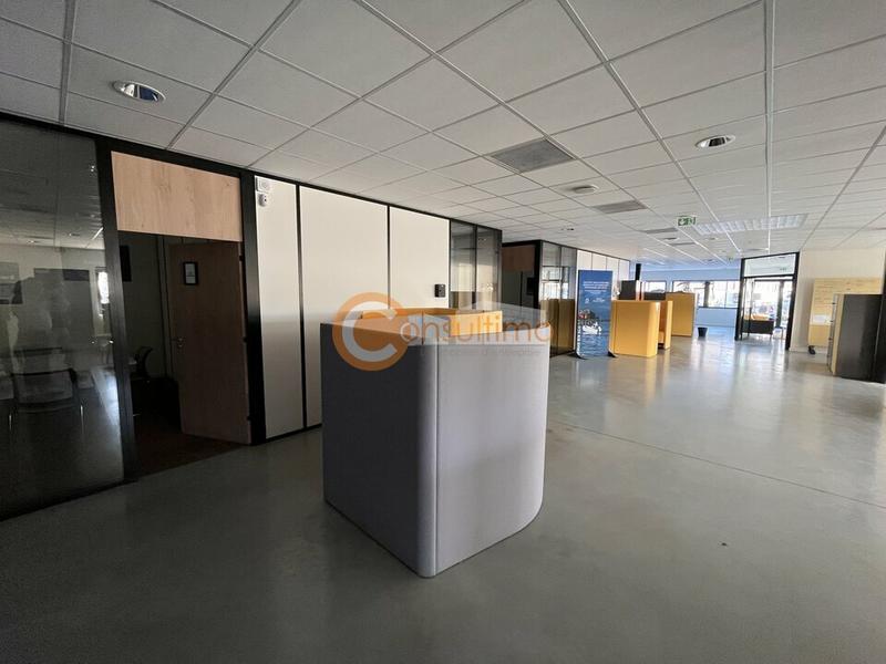Local d'activité / Entrepôt - 1 550 m²