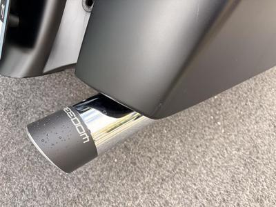 Indian Chieftain Dark Horse