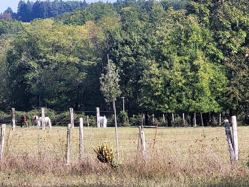 Terrain de loisirs - 90 000 m²