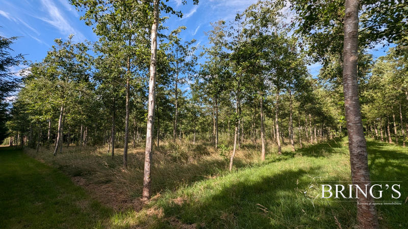 Terrain de loisirs - 47 800 m²