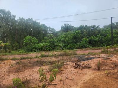 Terrain constructible