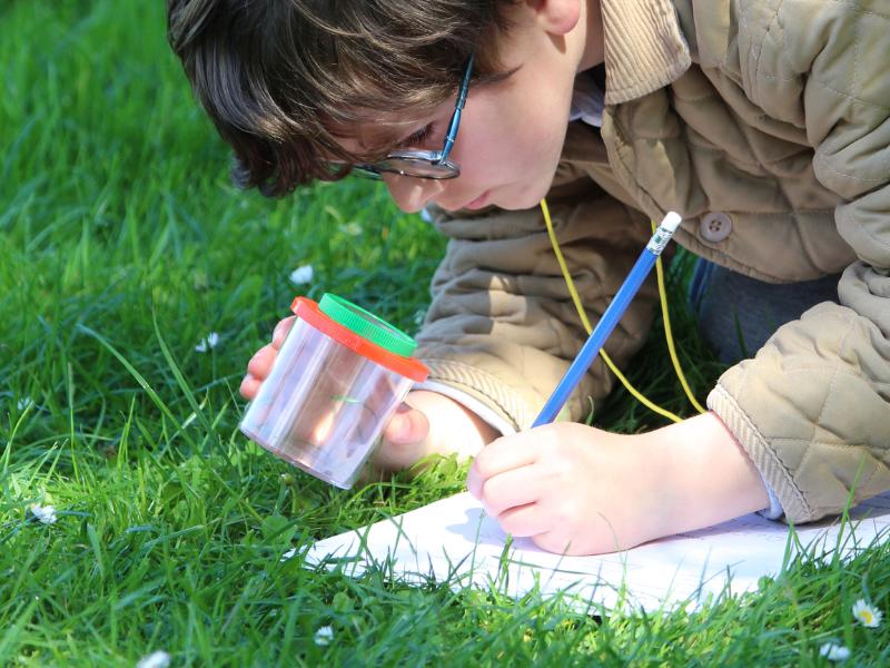 Escape game nature à Terres d'Oiseaux