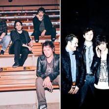 Animal Triste + Hollywood Porn Stars