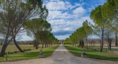 Manoir - 2 500 m² - 38 pièces