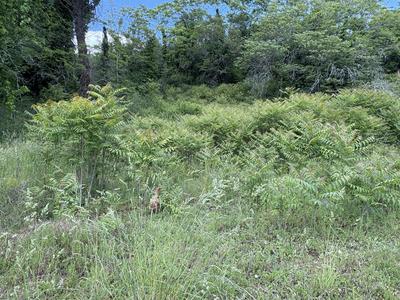 Terrain constructible - 1 958 m²