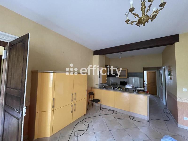 Hôtel particulier - 495 m² - 12 pièces