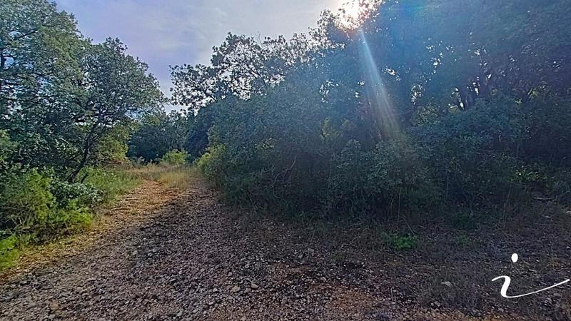 Terrain agricole - 12 250 m²