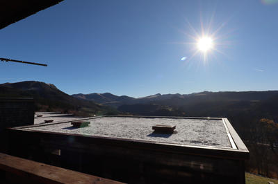 Duplex - 40 m² - 2 pièces