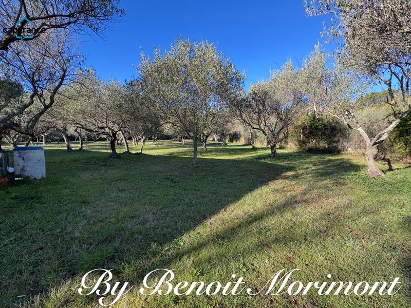 Maison - 234 m² - 5 pièces