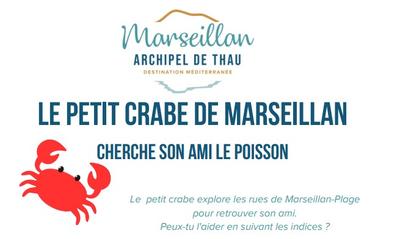 Jeu de Piste : le Petit Crabe de Marseillan Cherche Son Ami le Poisson