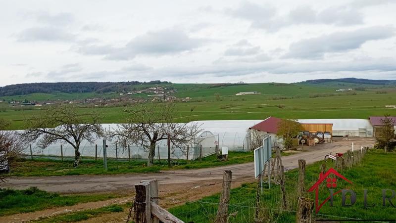 Local d'activité / Entrepôt - 80 000 m²