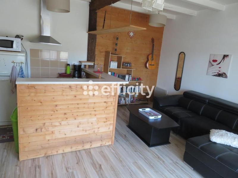 Maison - 295 m² - 14 pièces