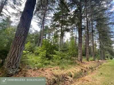 Propriété - 207 m² - 8 pièces