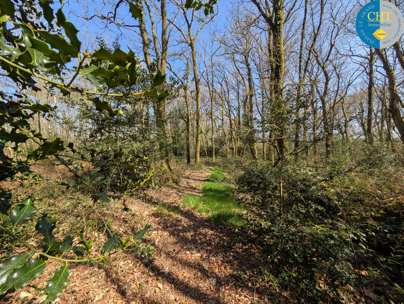 Terrain - 24 900 m²