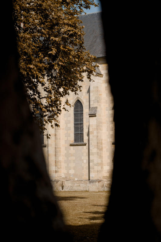 Escape game : les secrets de la pigne d'or