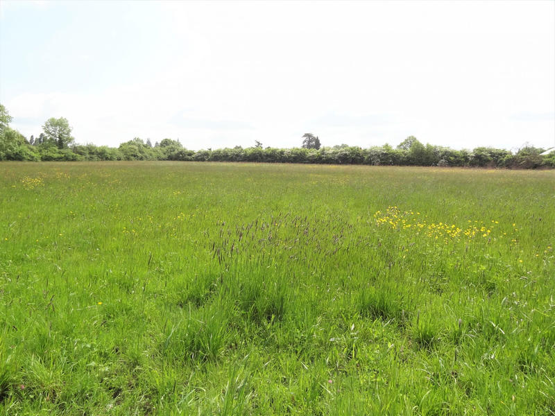 Terrain - 18 805 m²