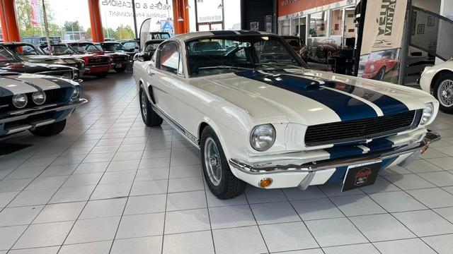 Ford Mustang Fastback Clone Gt 350 1965