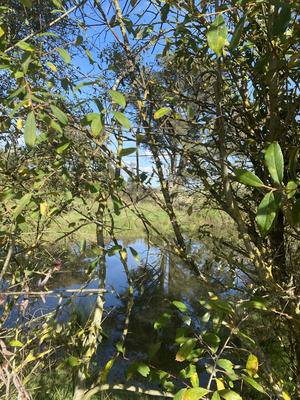 Terrain agricole - 15 847 m²