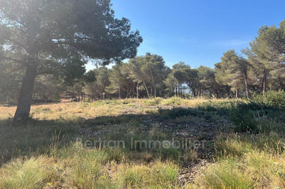 Terrain - 3 596 m²