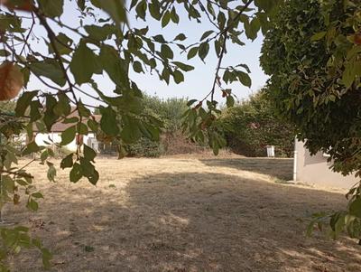 Maison - 78 m² - 4 pièces