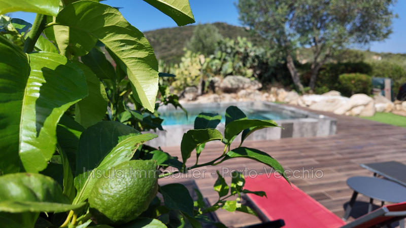 Villa - 175 m² - 6 pièces