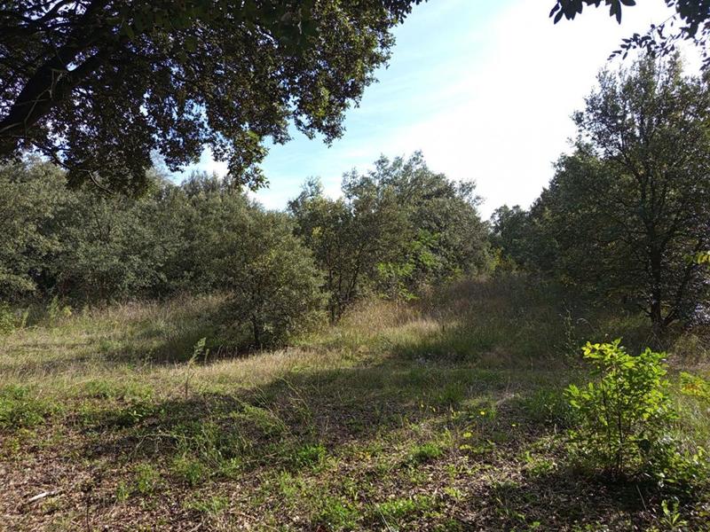 Corps de ferme - 370 m² - 10 pièces