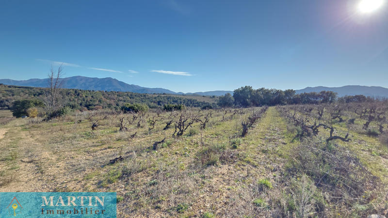 Mas - 58 m² - 3 pièces