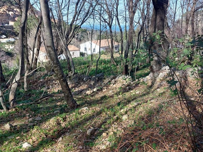 Terrain constructible - 1 100 m²