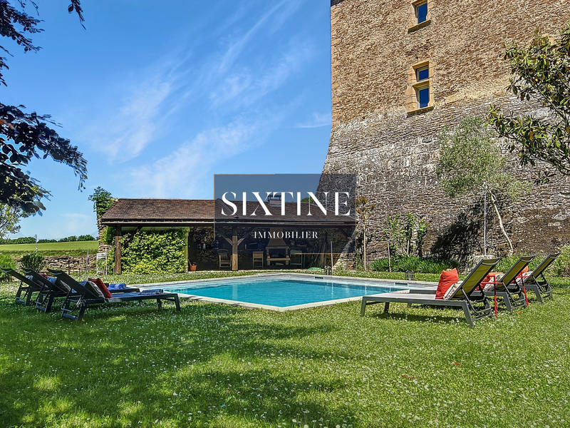 Château - 500 m² - 12 pièces