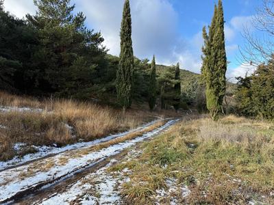 Maison - 246 m² - 8 pièces