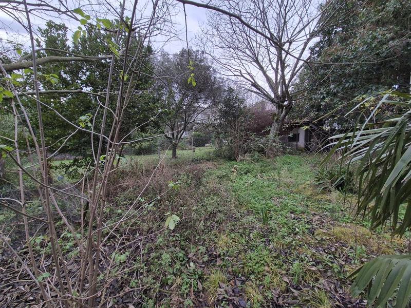 Maison ancienne - 104 m² - 6 pièces