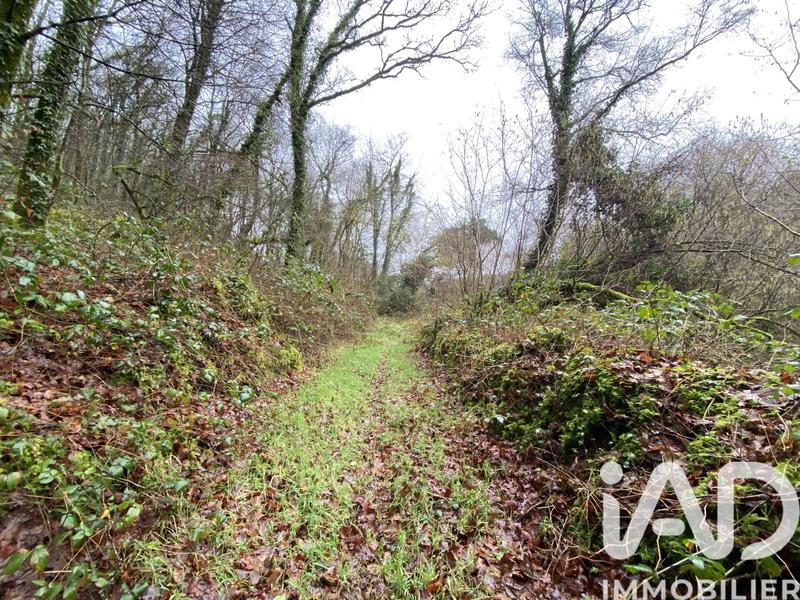 Terrain - 34 801 m²