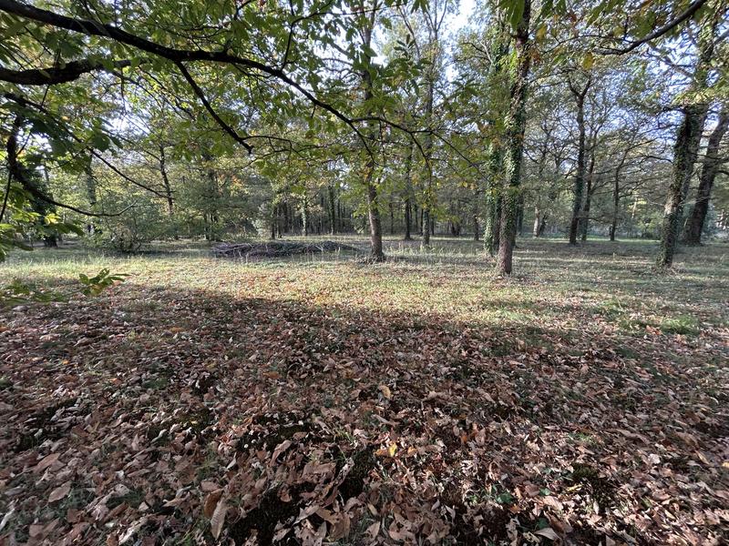 Maison - 76 m² - 3 pièces