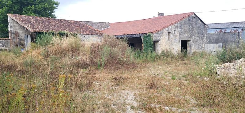 Maison ancienne - 300 m² - 8 pièces