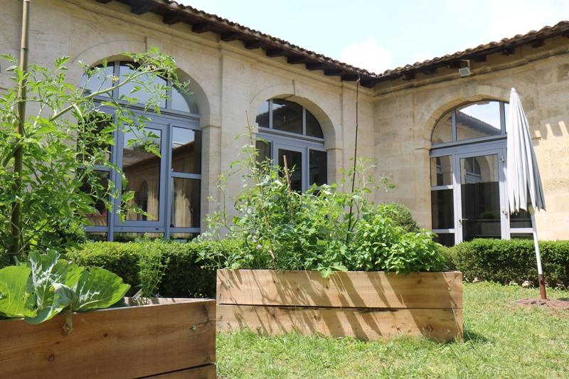 Atelier couleur végétale à la médiathèque de St André