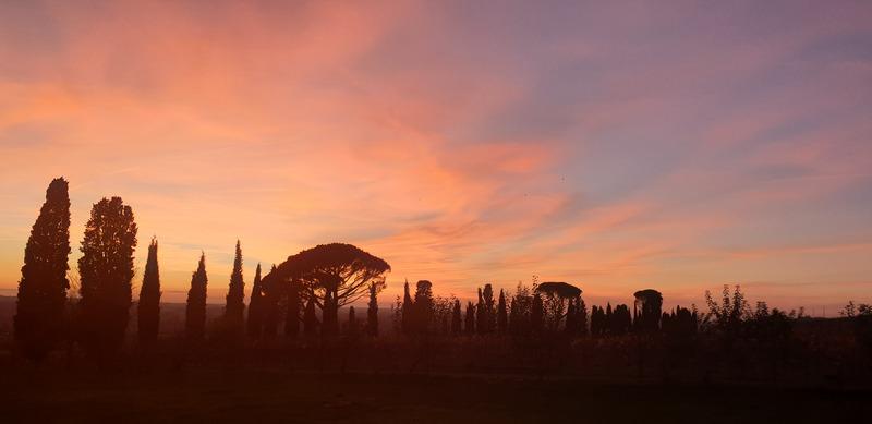 Malagar au coeur de la course