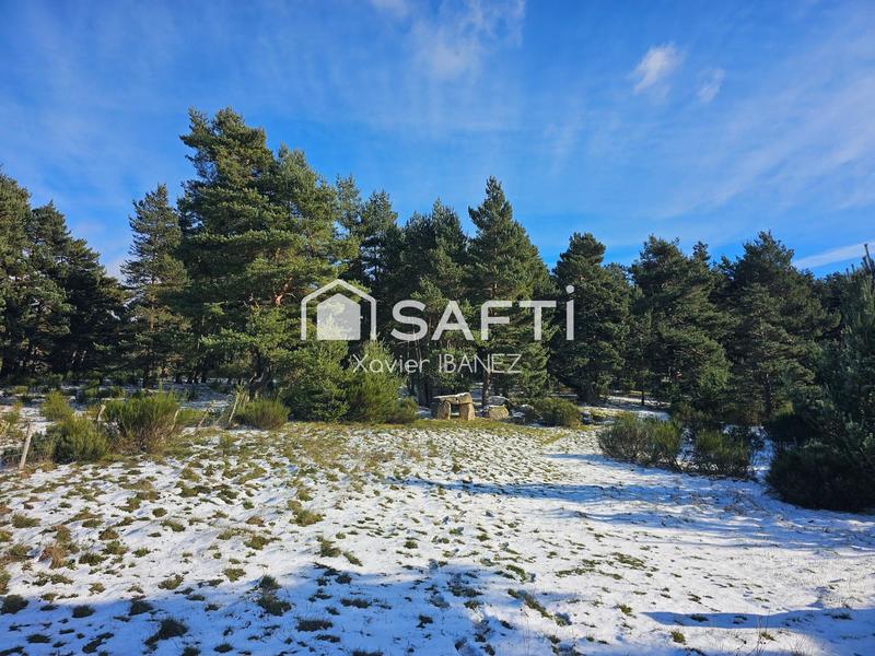 Local commercial - 346 m² - 14 pièces