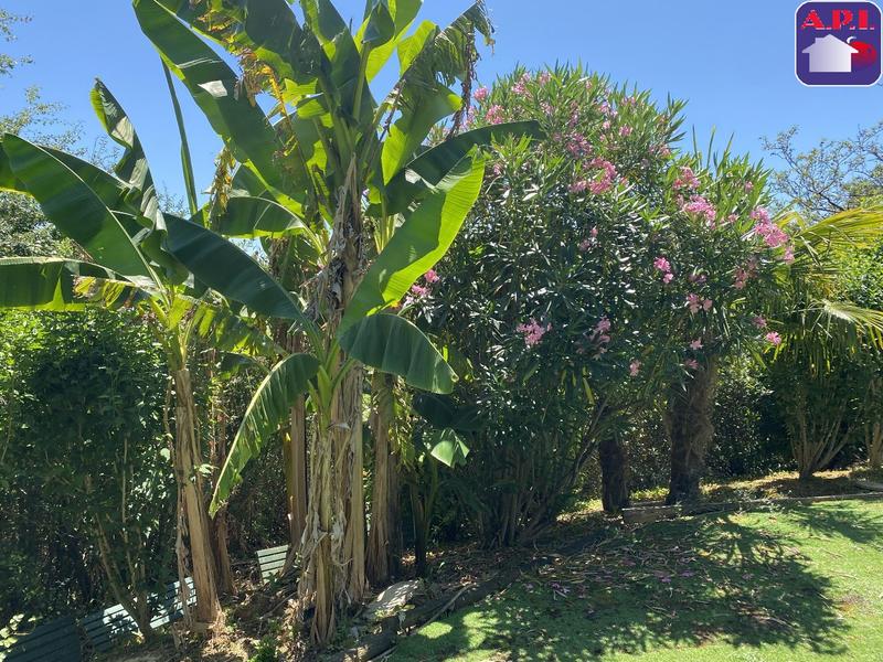 Maison - 126 m² - 5 pièces