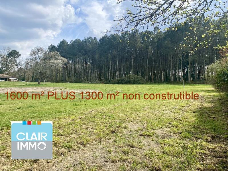 Terrain - 1 600 m²