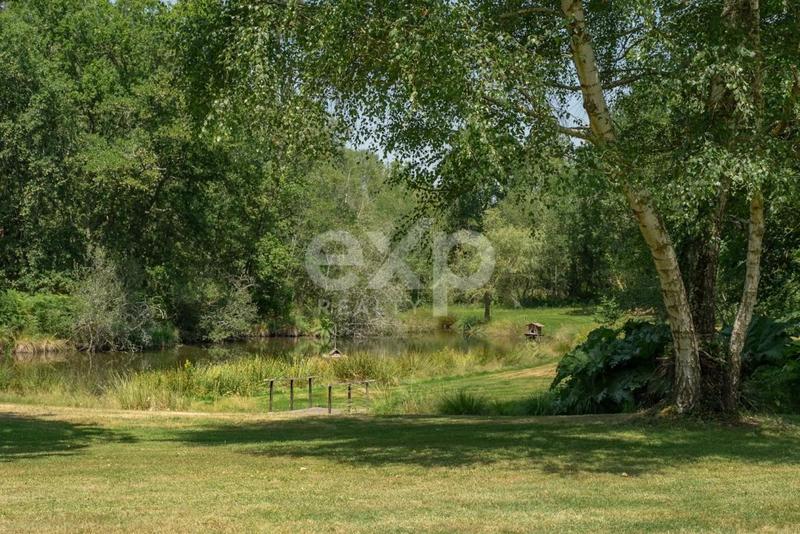 Propriété - 220 m² - 8 pièces