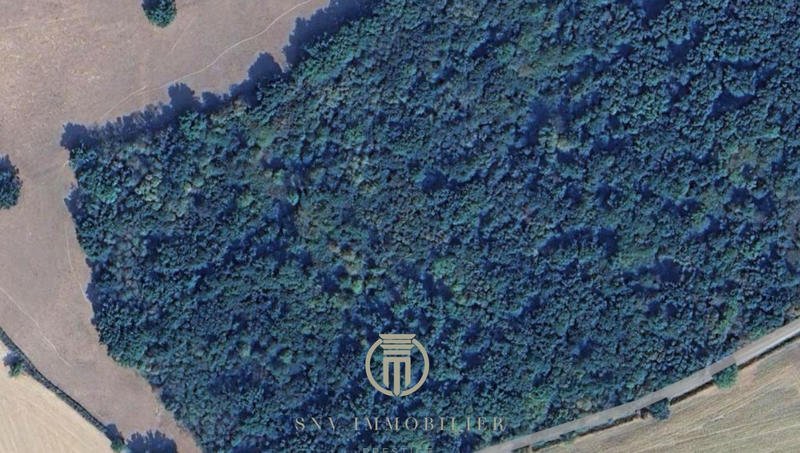 Terrain - 10 200 m²