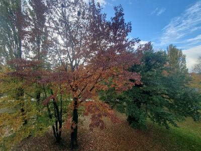 Appartement ancien - 67 m² - 3 pièces