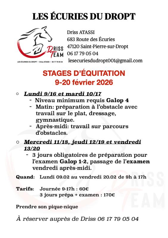 Stage d'équitation